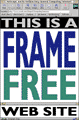 framefree ICON